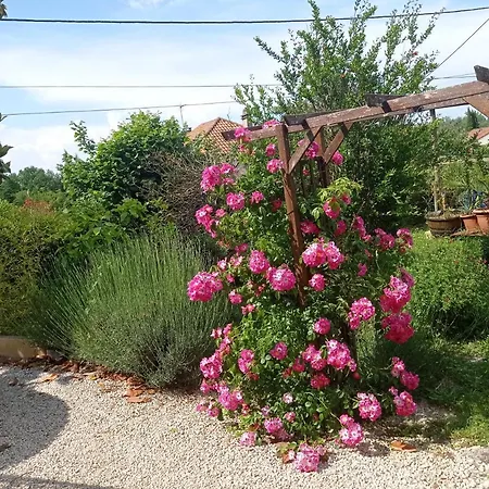 Rez De Chausse *