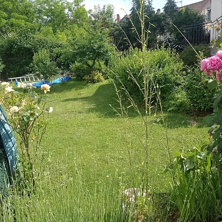 Apartment Rez De Chausse *