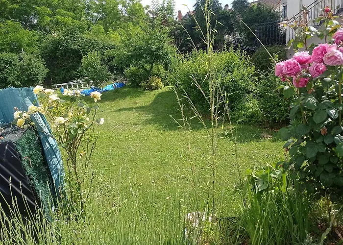 Apartament Rez De Chausse *